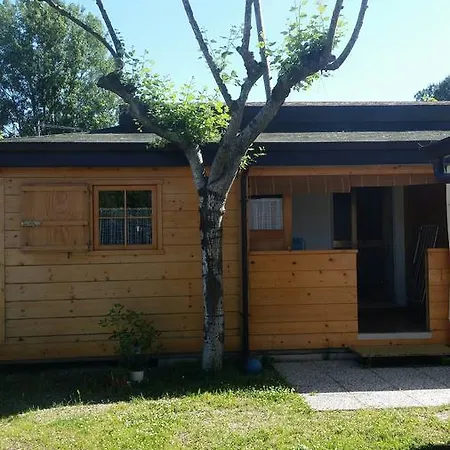 Edera Kamp alanı *