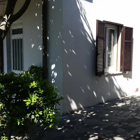 Edera Marina di Massa