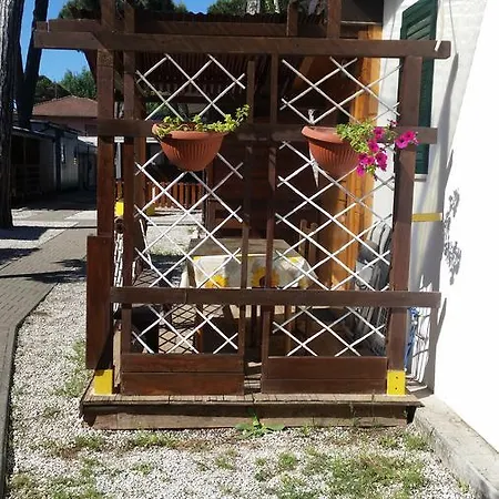 Edera