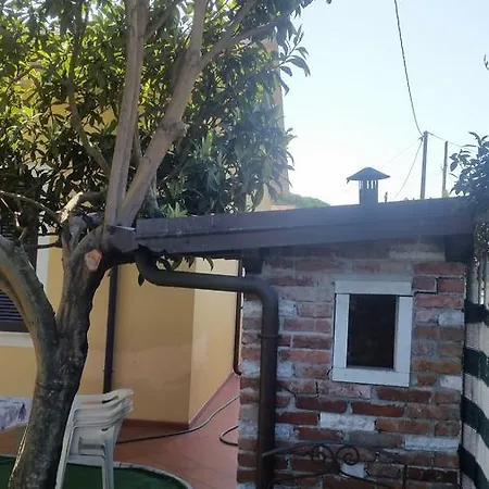 Edera Kamp alanı