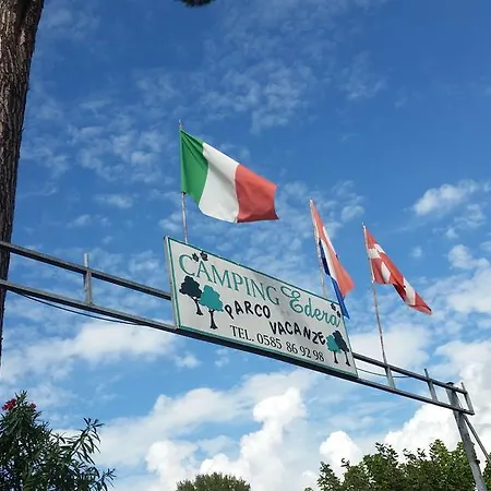 Edera Marina di Massa